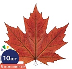 *КМ-18098 Набор украшений на скотче. Листочки. Клен бордовый (10 шт. в наборе, двухсторонняя, ВД-лак)