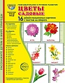 Дем. картинки СУПЕР Цветы садовые. 16 дем. картинок с текстом В ПАПКЕ (173х220 мм)